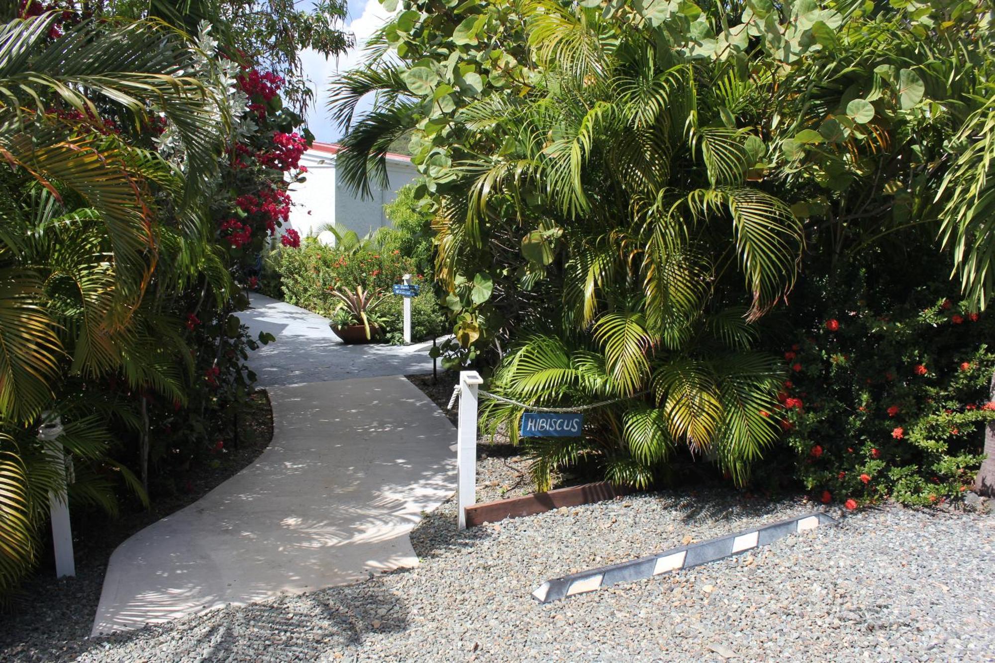 Hibiscus Suite At Sunset Serenade Cruz Bay Kültér fotó